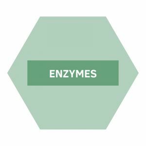https://b2b.nutriphyt.be/media/cache/dakzilla_intervention/b0919f284a7e9d6162db7007ed7499a7/Enzymes_1.jpg