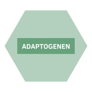 https://b2b.nutriphyt.be/media/cache/dakzilla_intervention/ebb805e18cd45128ea4d77de5b13c5bc/Adaptogenen_1.jpg