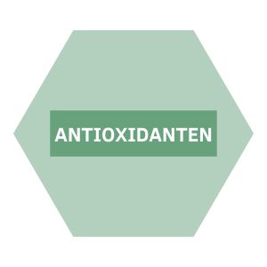 https://b2b.nutriphyt.be/media/cache/dakzilla_intervention/ebb805e18cd45128ea4d77de5b13c5bc/Antioxidanten.jpg