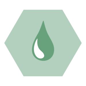 Glycémie https://b2b.nutriphyt.be/media/cache/dakzilla_intervention/ebb805e18cd45128ea4d77de5b13c5bc/Bloedsuikerspiegel.jpg