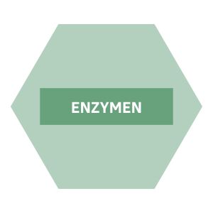 https://b2b.nutriphyt.be/media/cache/dakzilla_intervention/ebb805e18cd45128ea4d77de5b13c5bc/Enzymen.jpg
