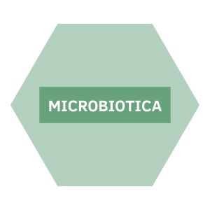 https://b2b.nutriphyt.be/media/cache/dakzilla_intervention/ebb805e18cd45128ea4d77de5b13c5bc/Microbiotica_1.jpg
