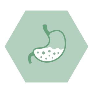 Système digestif https://b2b.nutriphyt.be/media/cache/dakzilla_intervention/ebb805e18cd45128ea4d77de5b13c5bc/Spijsvertering.jpg