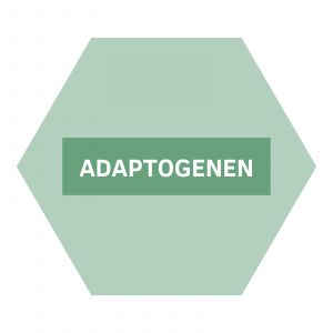 https://b2b.nutriphyt.be/media/cache/dakzilla_intervention/ed13834a9169072acc73ea0ff847ff35/Adaptogenen_1.jpg
