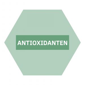 https://b2b.nutriphyt.be/media/cache/dakzilla_intervention/ed13834a9169072acc73ea0ff847ff35/Antioxidanten.jpg