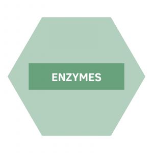 https://b2b.nutriphyt.be/media/cache/dakzilla_intervention/ed13834a9169072acc73ea0ff847ff35/Enzymes_1.jpg