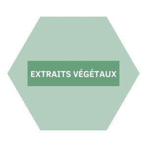 https://b2b.nutriphyt.be/media/cache/dakzilla_intervention/ed13834a9169072acc73ea0ff847ff35/Extraits_vegetaux_1.jpg
