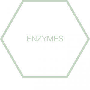 https://b2b.nutriphyt.be/media/cache/dakzilla_intervention/ed13834a9169072acc73ea0ff847ff35/Pict_Enzymes.png